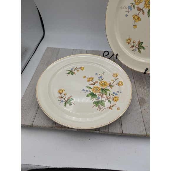 Vintage Set 4 Taylor Smith Taylor Dinner Plates 10" Yellow Buttercups TST237 - Picture 6 of 9
